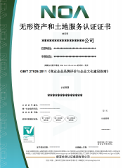 無形資產(chǎn)和土地服務(wù)-CN