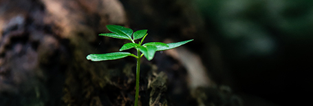 ISO 14001 環(huán)境管理體系